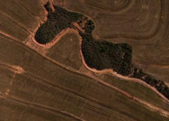 Brazil approaches environmental collapse
