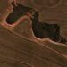 Brazil approaches environmental collapse
