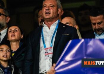 Türkiye: Fenerbahçe president released on bail