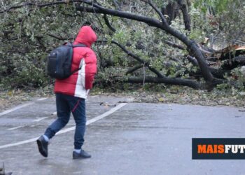 Bad weather: Civil Protection activates maximum level of readiness