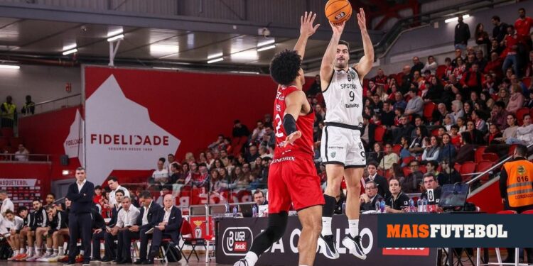 Basketball: Sporting beats Benfica and approaches the lead