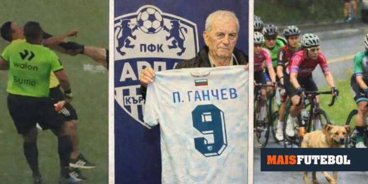 From the barber Mourinho to «Pogacão»: the most unusual news of 2025