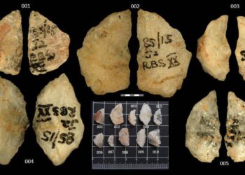 ‘Homo sapiens’ invented poisoned arrow 60 thousand years ago – 01/10/2026 – Reinaldo José Lopes