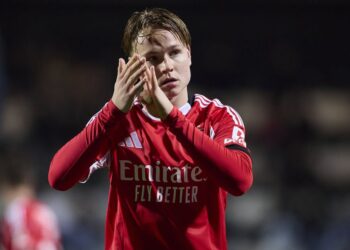 «If Schjelderup leaves Benfica, there will be a little taste»