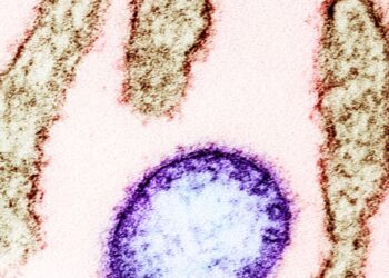India on high alert due to virus identified as possible next pandemic