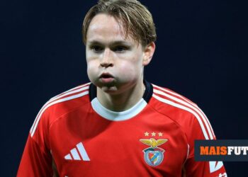 Norway coach warns Schjelderup: “He has to change clubs”
