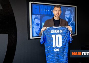 OFFICIAL: Edin Dzeko leaves Fiorentina for Schalke and returns to Germany