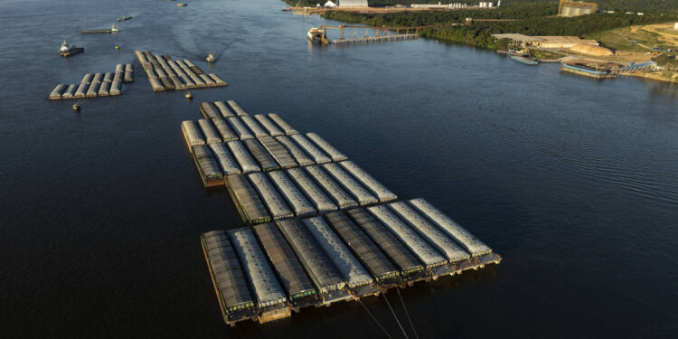 The Tapajós River is not for sale – 01/23/2026 – Txai Suruí