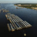 The Tapajós River is not for sale – 01/23/2026 – Txai Suruí