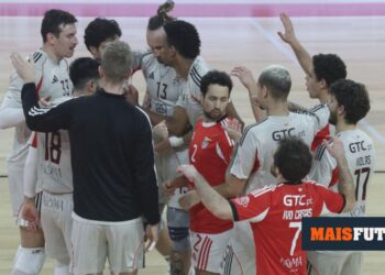 Volleyball: Benfica beats Leixões in three sets and touches leaders Sporting