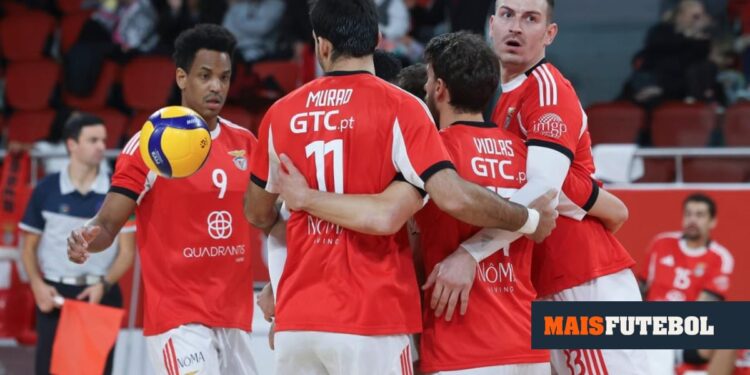 Volleyball: Sporting loses in the Champions League, Benfica qualifies in the Challenge Cup