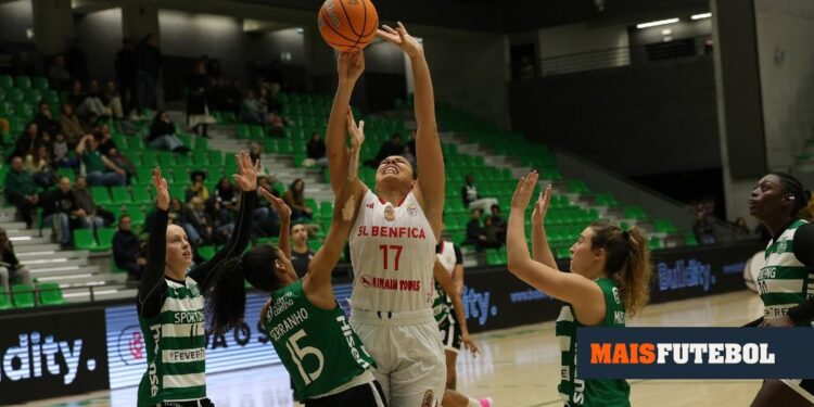 Women’s basketball: Benfica beats Sporting and puts pressure on leader Lombos