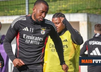 Benfica: Lukebakio returns to training without limitations