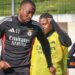 Benfica: Lukebakio returns to training without limitations