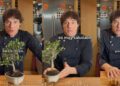 “For stews I would prefer olive oil, coconut oil or avocado”