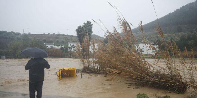 They are looking for a woman who fell into the river in the middle of a storm Leonardo